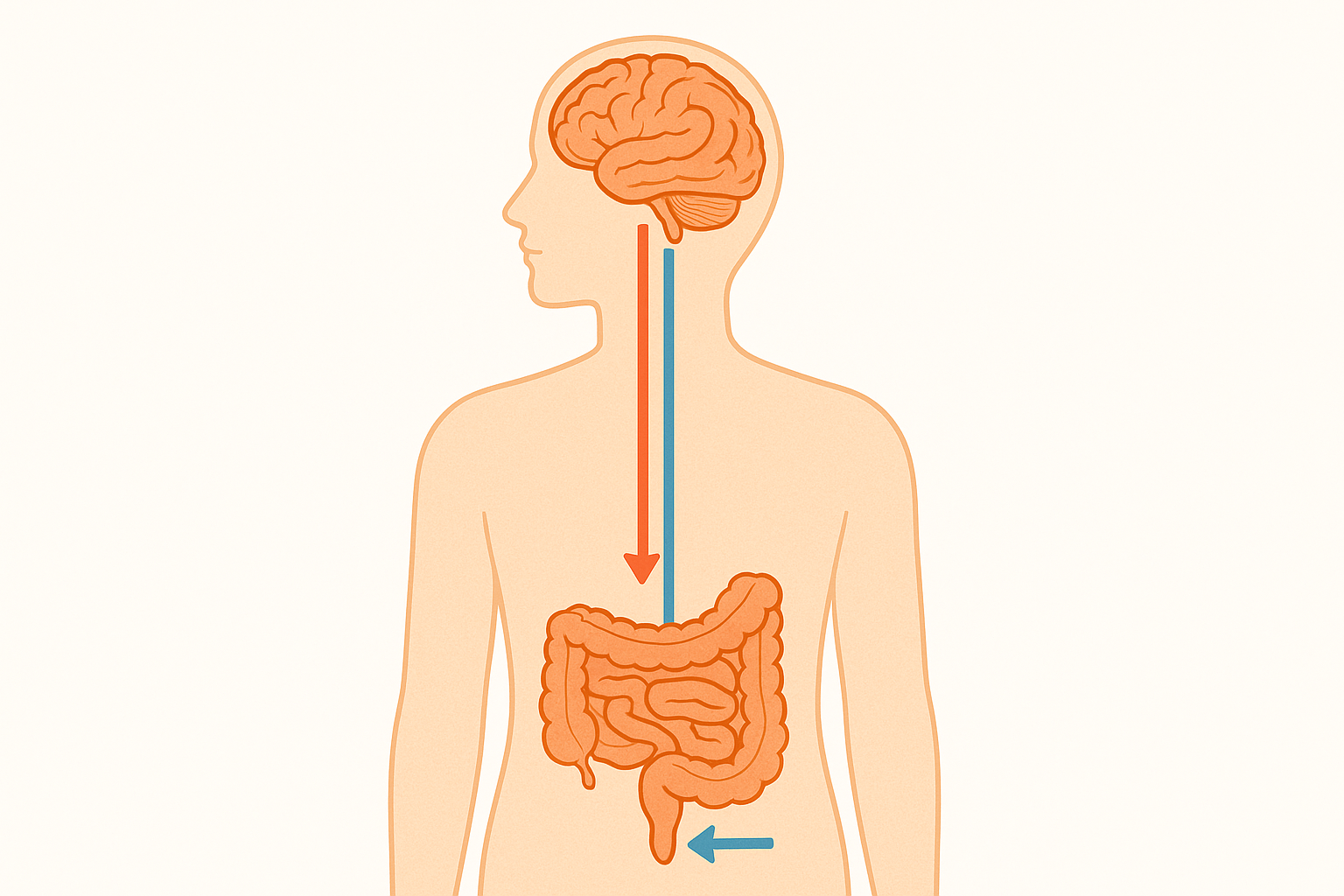 成長していないと感じる原因が脳と腸の連携不足であることを示し、次世代型メンタル腸活Heilunで思考回路を再起動できることを説明するイラスト